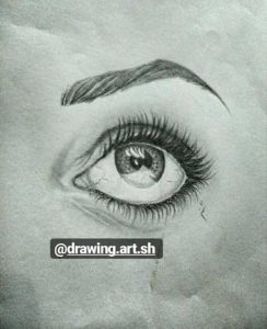 طراحی سیاه قلم طراحی چهره گالری شبنم